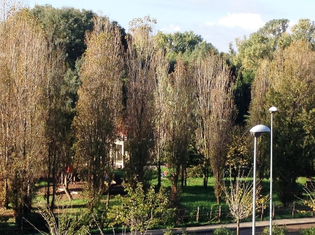 Regina Apartments Αλγκέρο Δωμάτιο φωτογραφία
